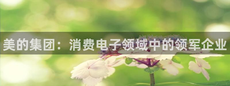 凯发k8娱乐官网app下载体育