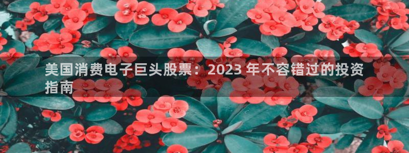 k8凯发|美国消费电子巨头股票:2023 年不容错过的投资
指南