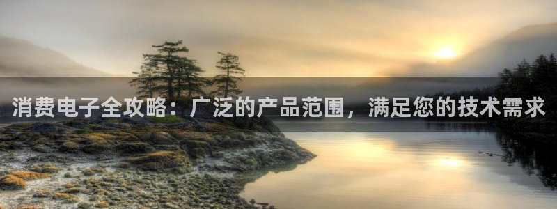 凯发K8登录|消费电子全攻略:广泛的产品范围,满足您的技术需求