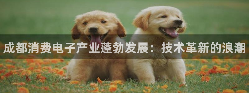 凯发国际天生赢家|成都消费电子产业蓬勃发展:技术革新的浪潮