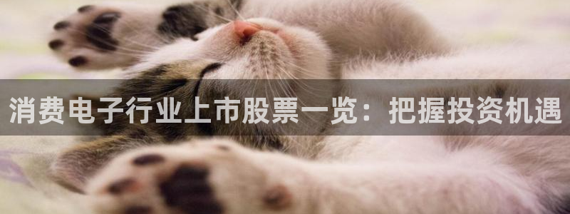 凯发国际官网首页